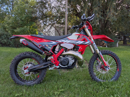 2026 Reiju 300i MR Pro