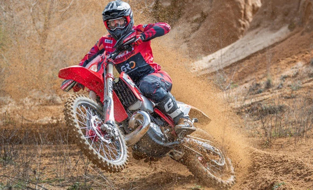 2026 Reiju 300i MR Pro
